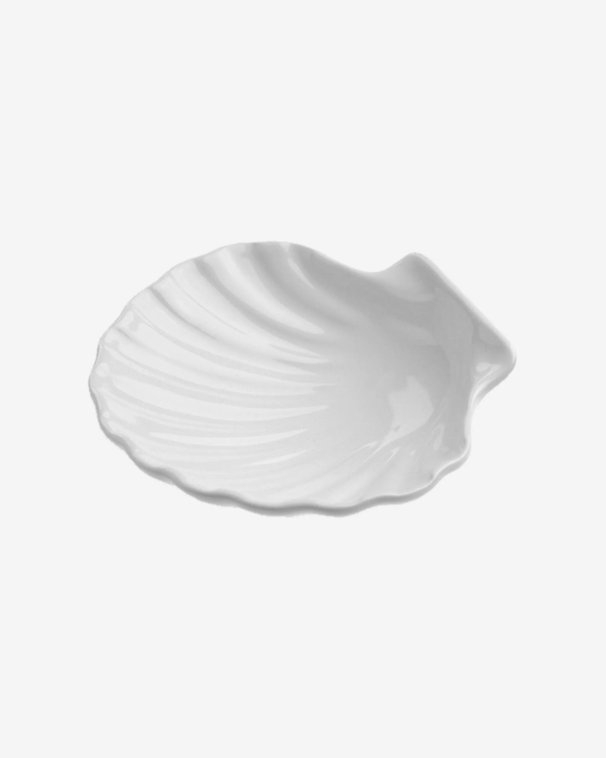 Coquille Saint
  Jacques