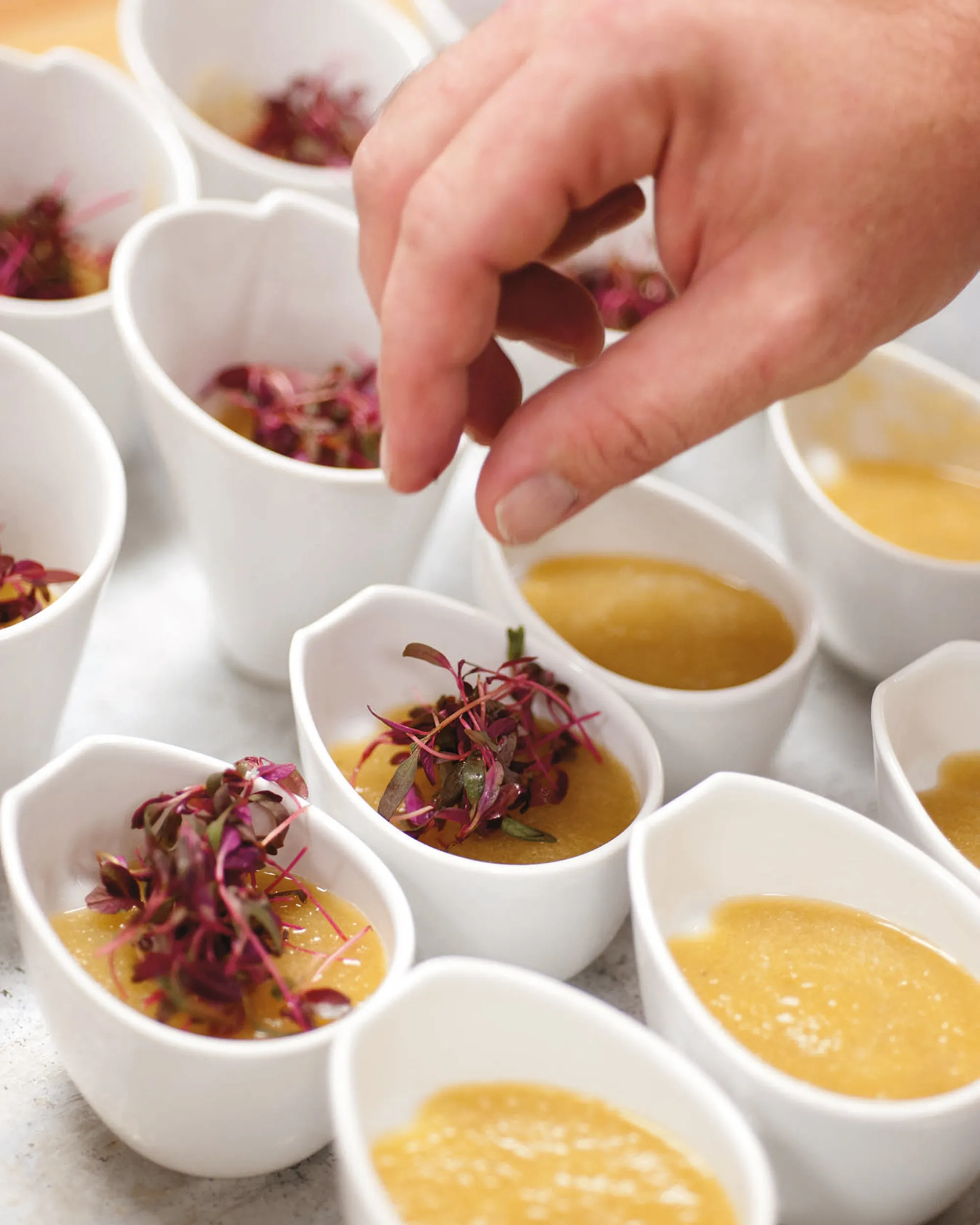Rectangular Dish