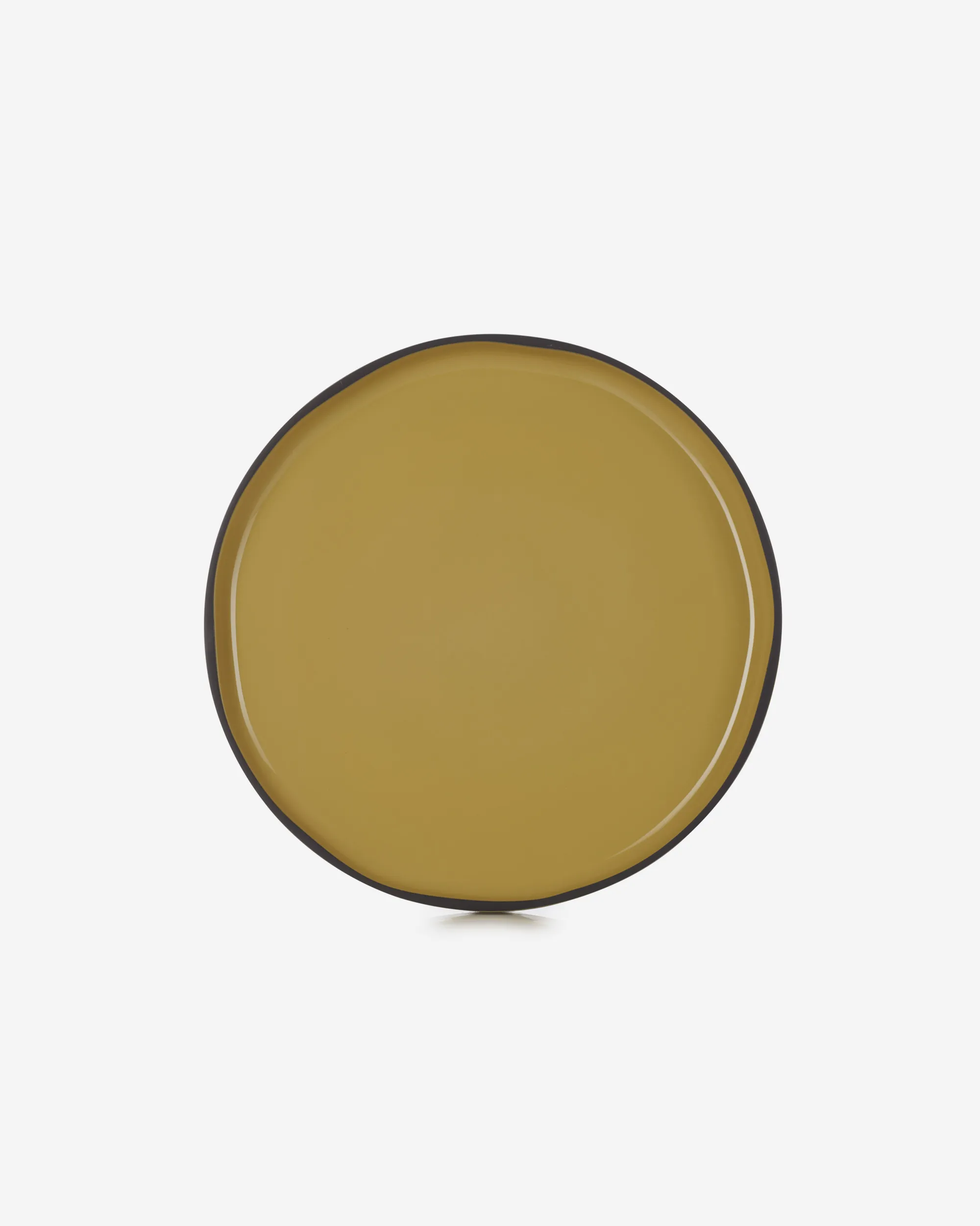 Dinner plate