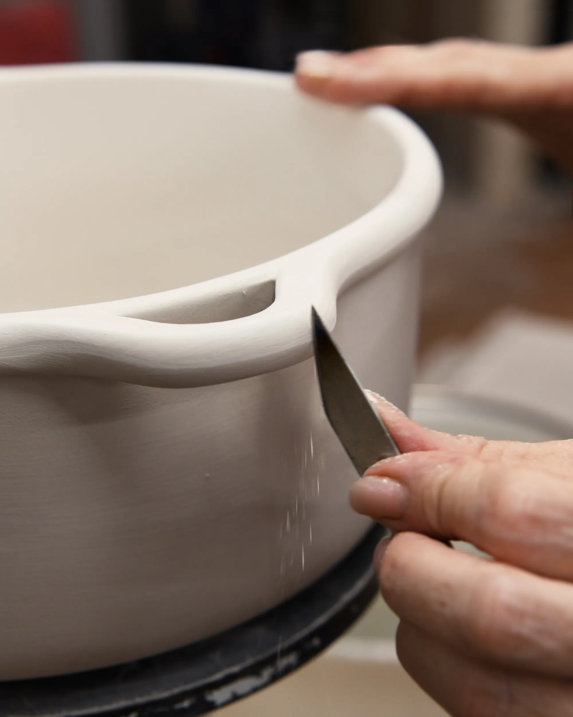 Cocotte Ronde Induction