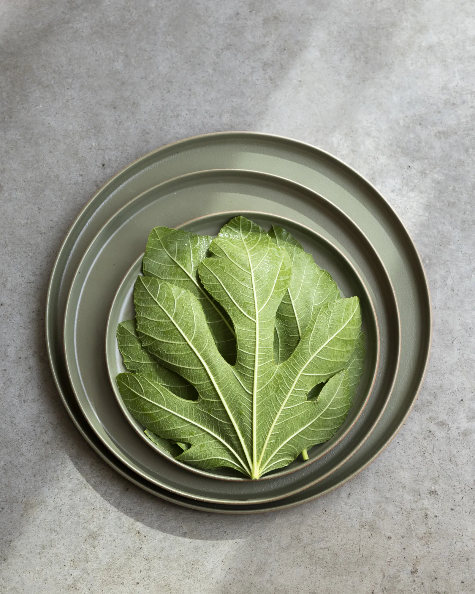 Assiette