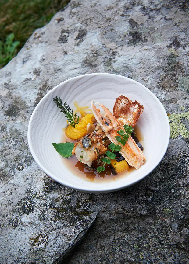 Restaurant étoilé Haute Loire, signature de gastronomie