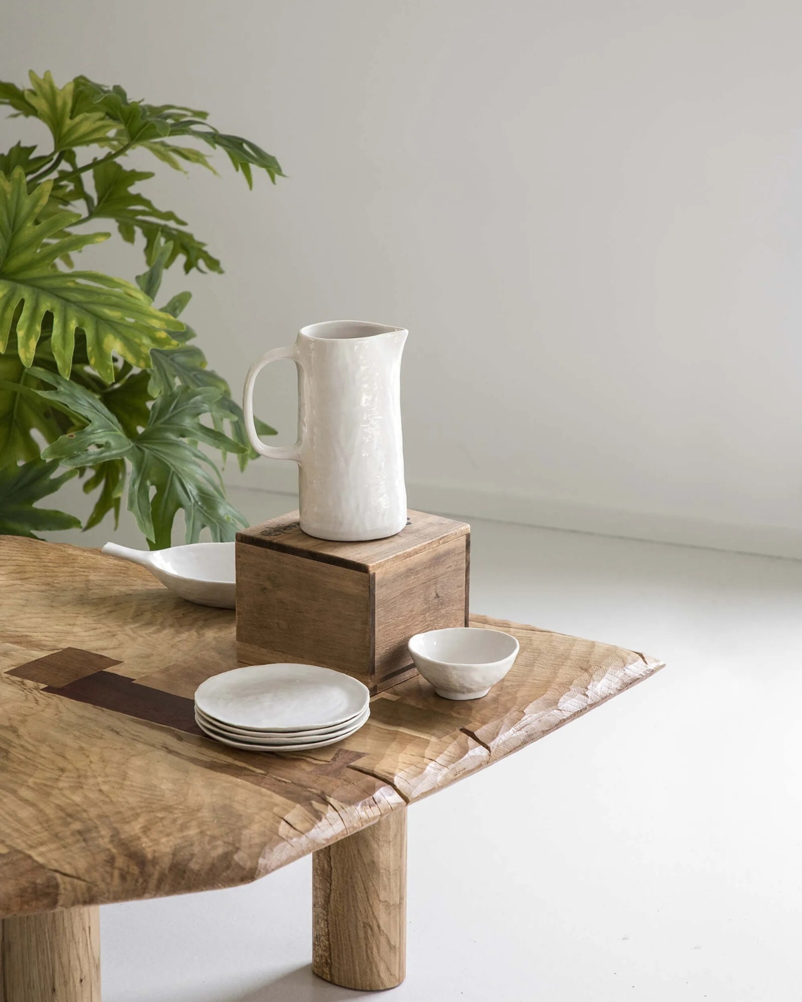Collection adelie